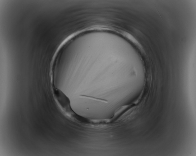 X0000083041372200703022039