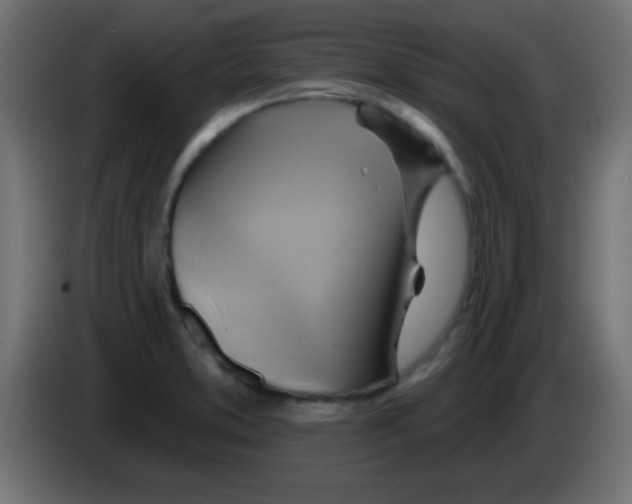 X0000083041373200703022039