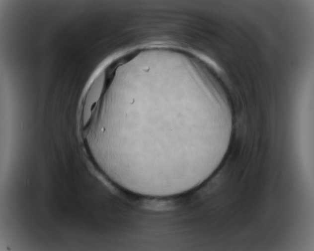 X0000083041374200703022039