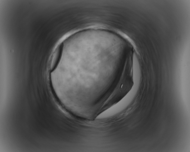 X0000083041375200703022039