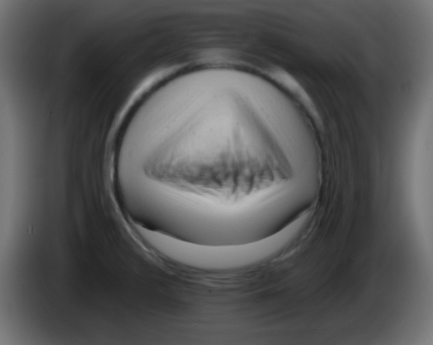 X0000083041376200703022039