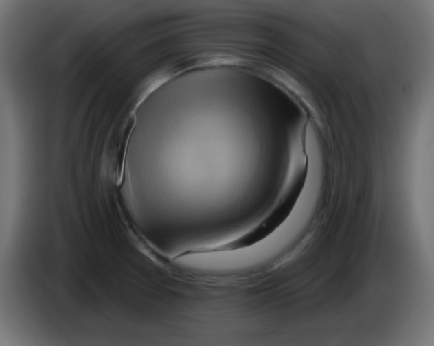 X0000083041377200703022039