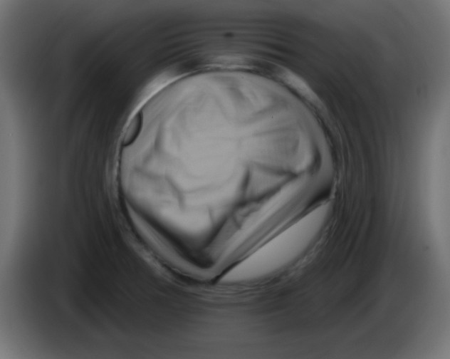 X0000083041378200703022039