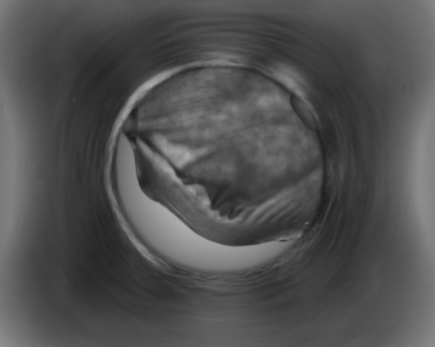 X0000083041379200703022039