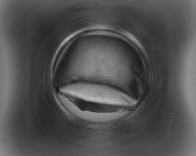 X0000083041380200703022039