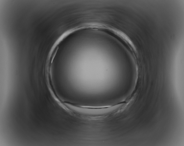 X0000083041381200703022039