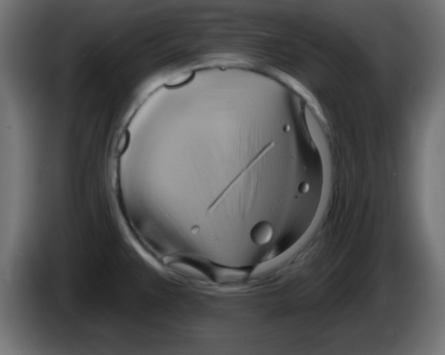 X0000083041383200703022039