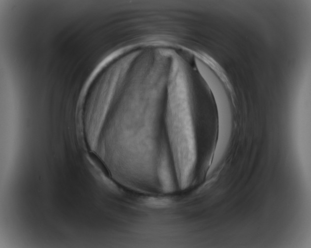 X0000083041384200703022039