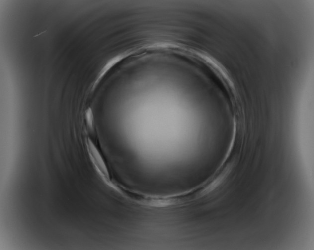 X0000083041385200703022039