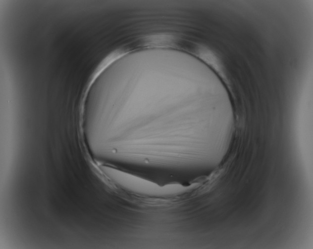 X0000083041386200703022039