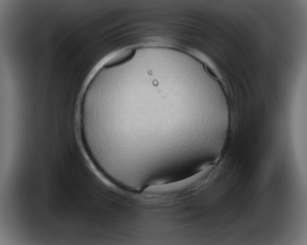 X0000083041387200703022039