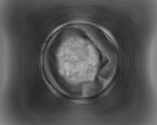 X0000083041388200703022039