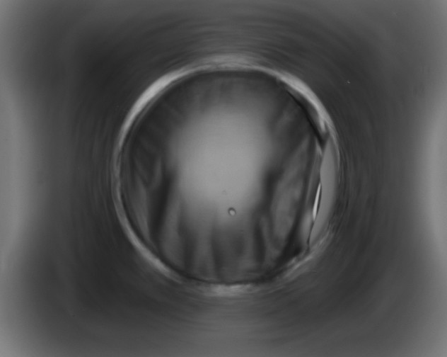 X0000083041389200703022039