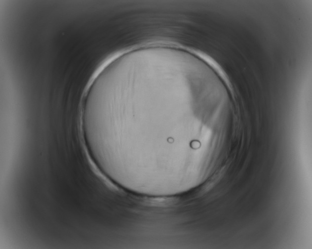 X0000083041390200703022039