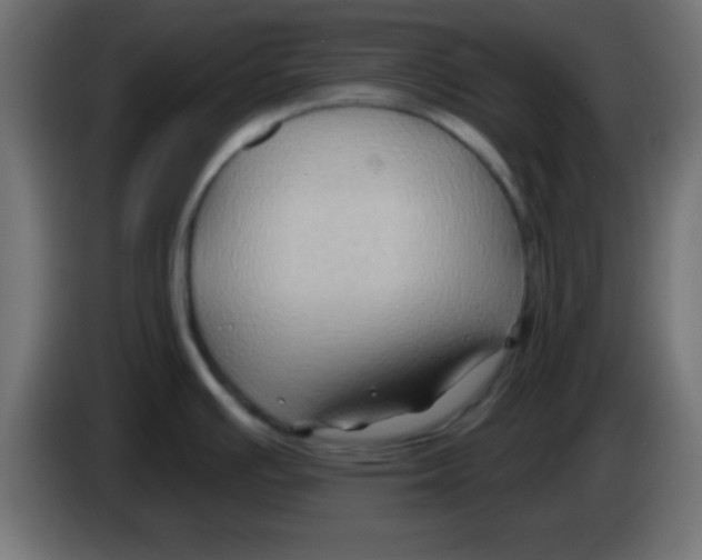 X0000083041391200703022039