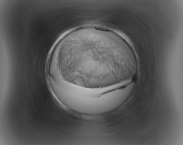 X0000083041392200703022039