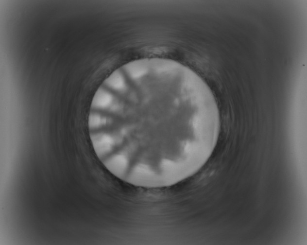 X0000083041393200703022038