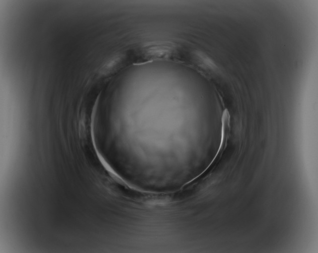 X0000083041394200703022038