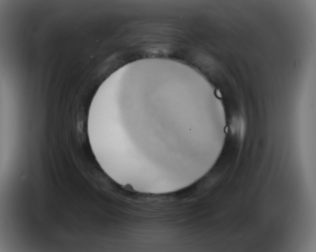 X0000083041396200703022038