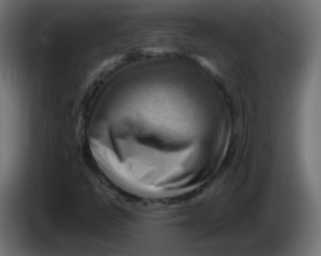 X0000083041398200703022038