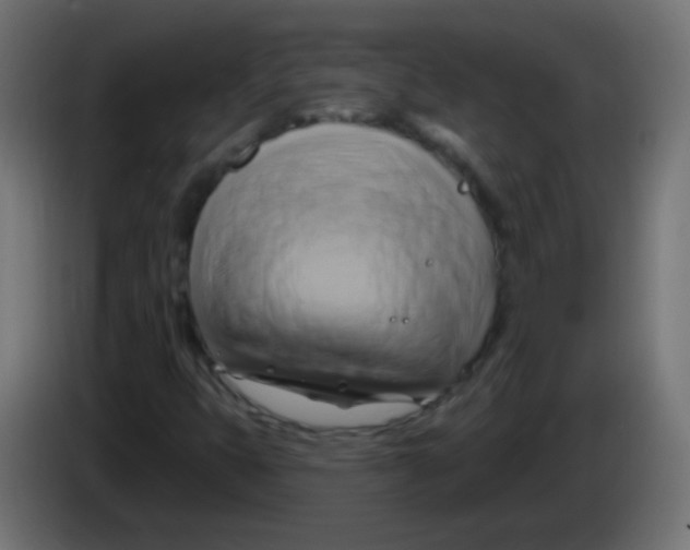 X0000083041399200703022038