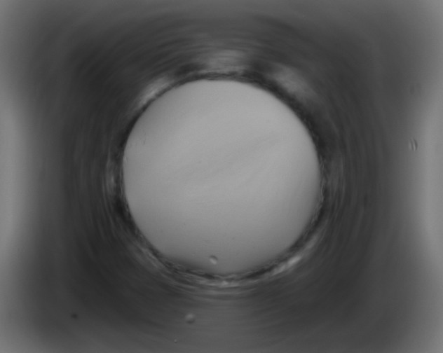 X0000083041401200703022038