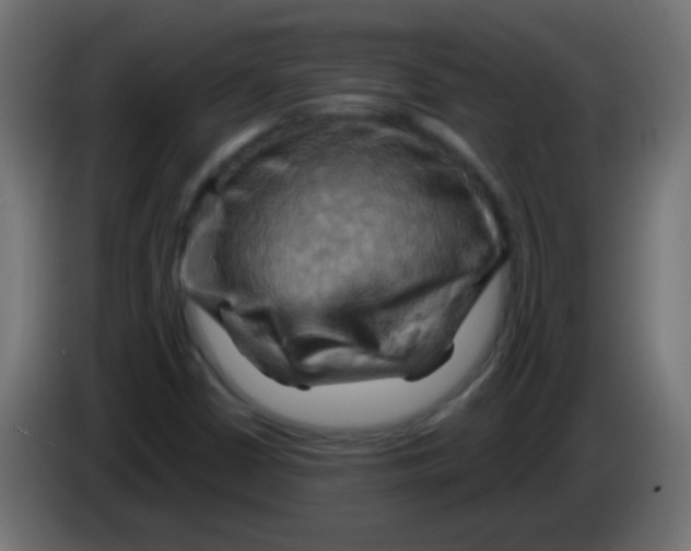 X0000083041402200703022038