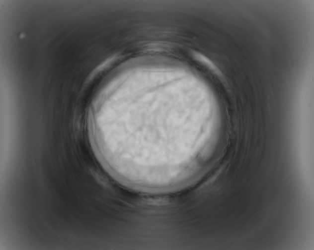 X0000083041403200703022038