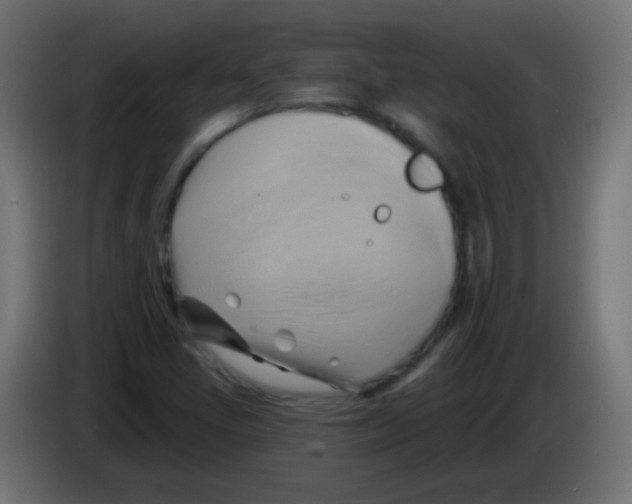 X0000083041405200703022038