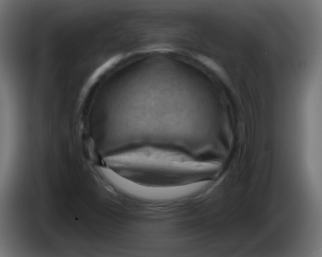 X0000083041406200703022038