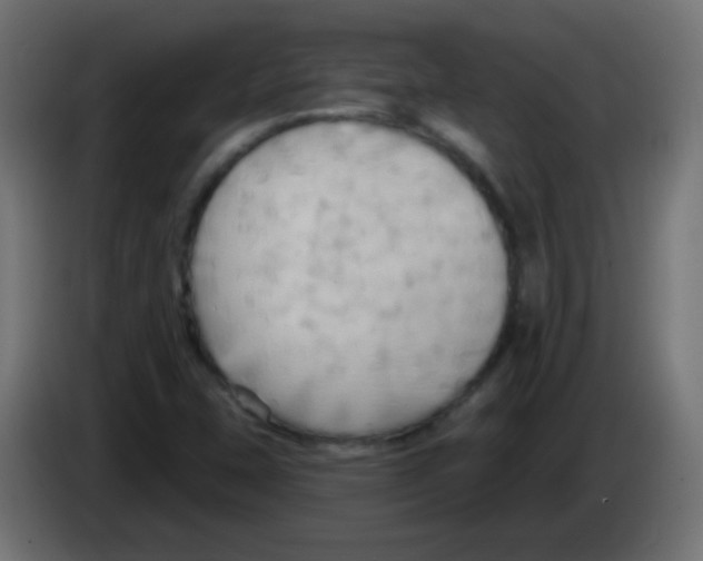 X0000083041407200703022038