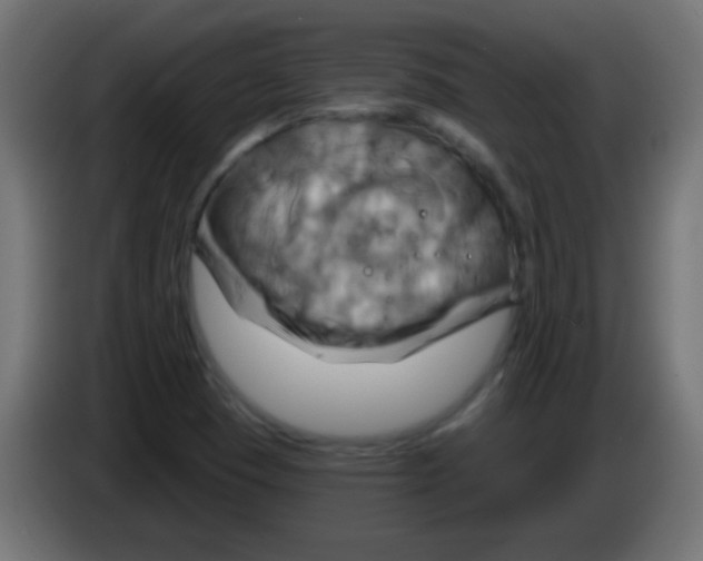 X0000083041409200703022038