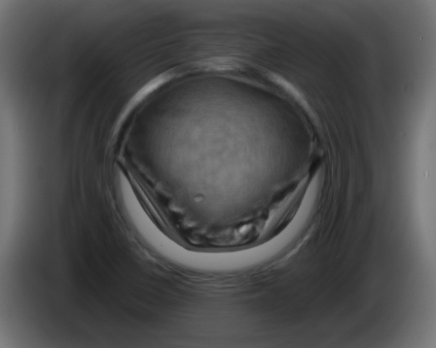 X0000083041410200703022038