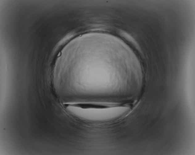 X0000083041411200703022038