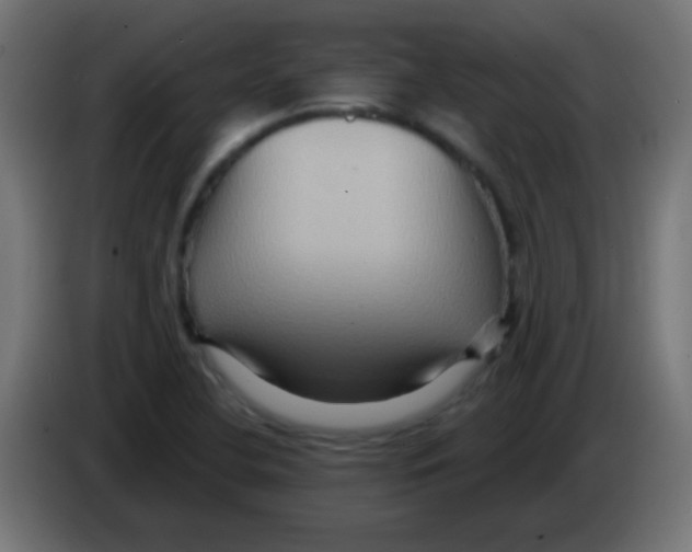 X0000083041412200703022038