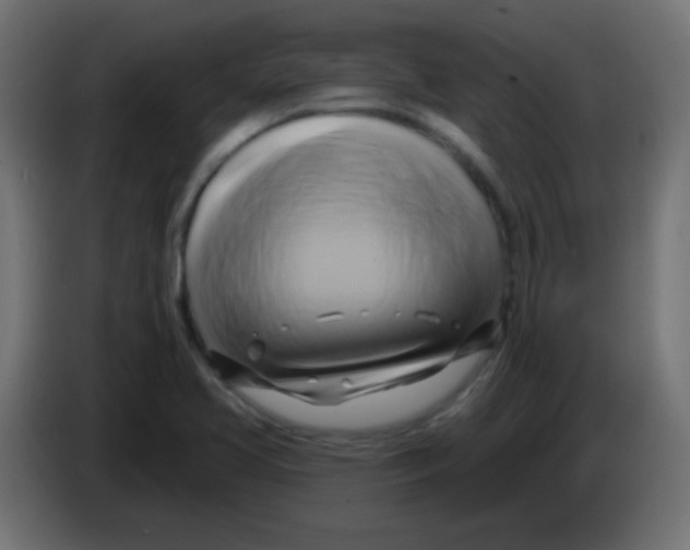 X0000083041413200703022038