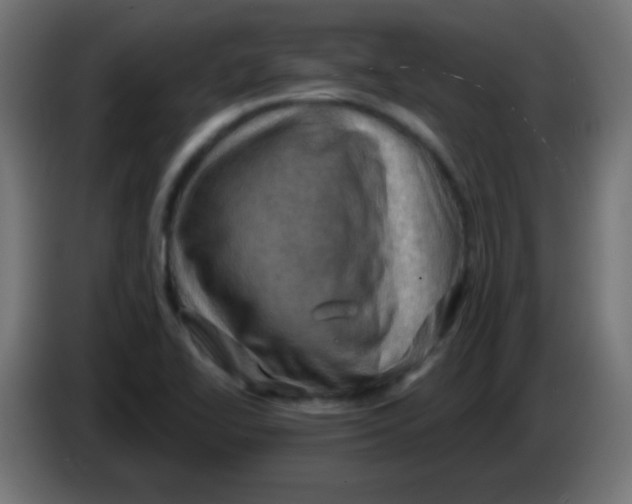 X0000083041414200703022038