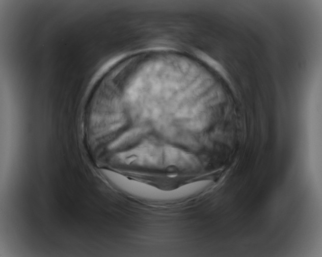 X0000083041415200703022038