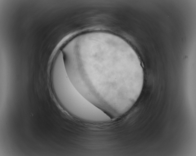 X0000083041416200703022038