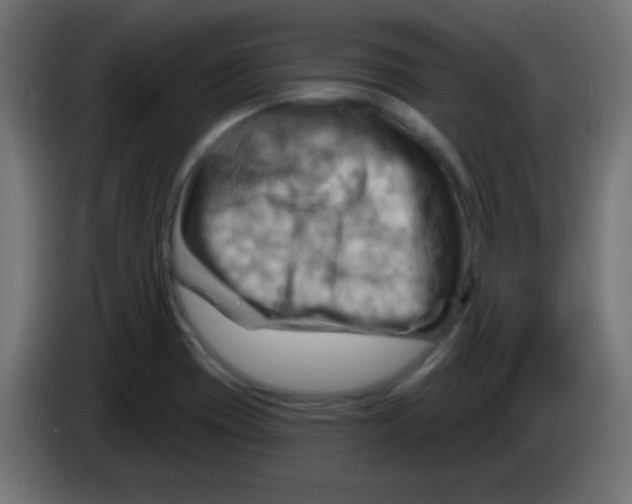 X0000083041417200703022038