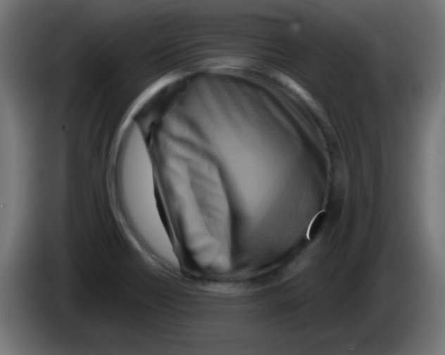 X0000083041418200703022038