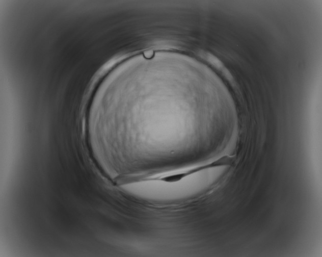 X0000083041419200703022038