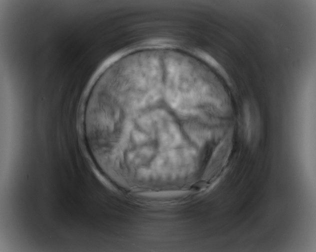 X0000083041421200703022038