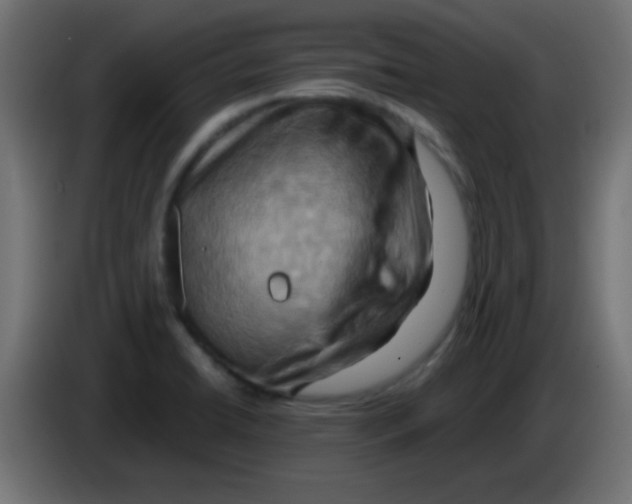 X0000083041422200703022038