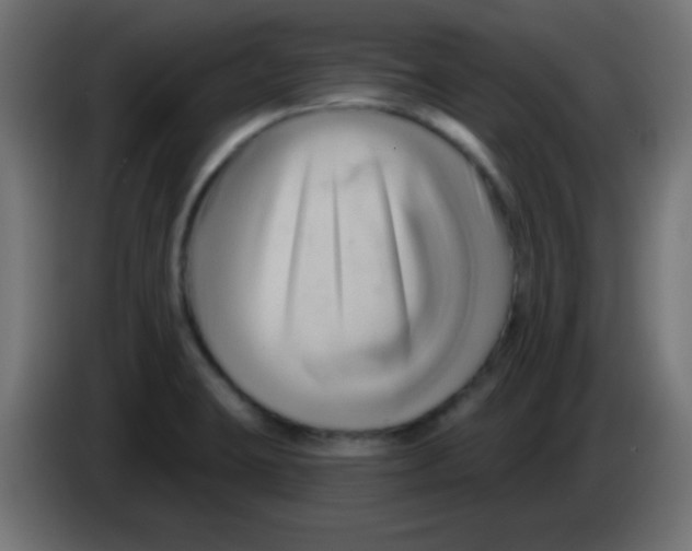 X0000083041423200703022038