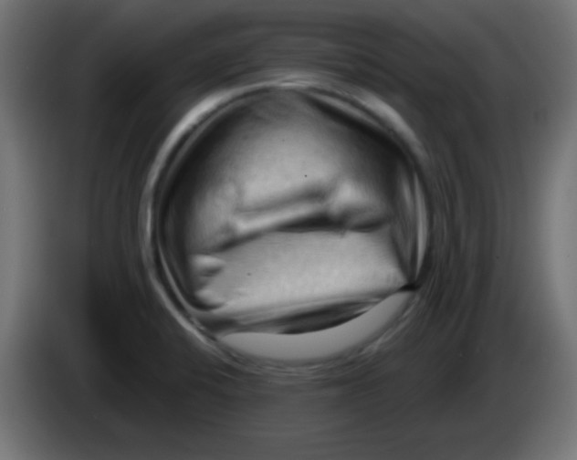 X0000083041424200703022038