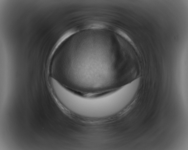 X0000083041426200703022038