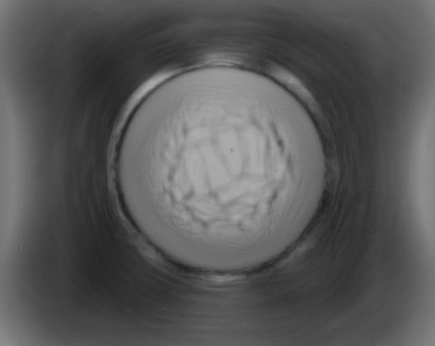 X0000083041427200703022038