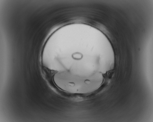 X0000083041428200703022038