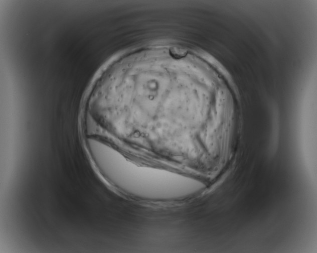 X0000083041429200703022038